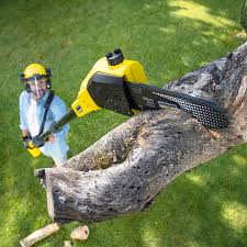 Best Lawn Watering Services  in Del Aire, CA
