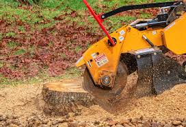 Best Tree Cabling and Bracing  in Del Aire, CA