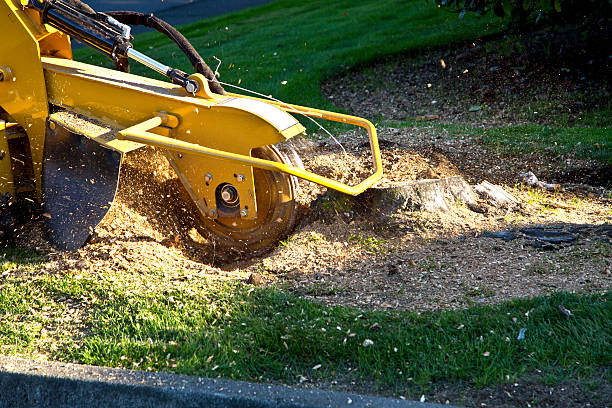 Lawn Irrigation Installation and Maintenance in Del Aire, CA